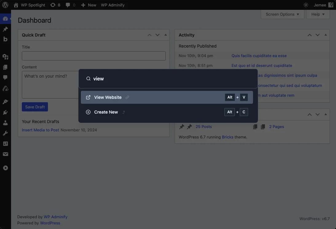 View website from WordPress Dashboard